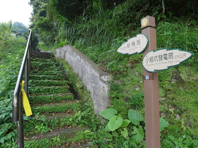 屈尺古道、屈尺山、青獅山 (178).JPG