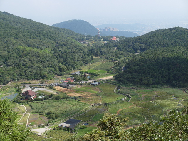 大屯山主峰、南峰、西峰登山步道 (15).JPG