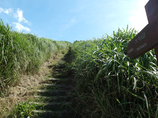 大屯山主峰、南峰、西峰登山步道 (39).JPG