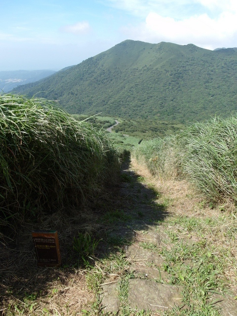 大屯山主峰、南峰、西峰登山步道 (40).JPG