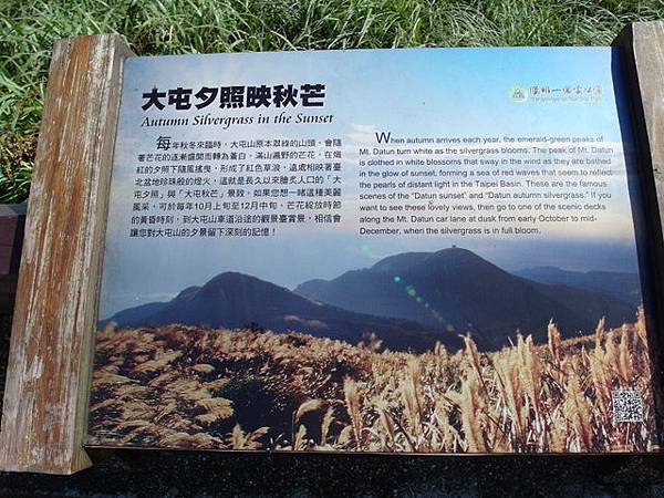 大屯山主峰、南峰、西峰登山步道 (46).JPG