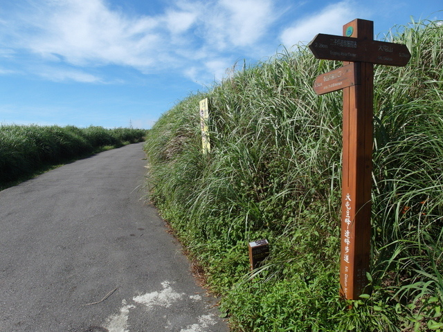 大屯山主峰、南峰、西峰登山步道 (51).JPG