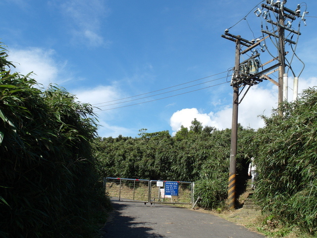 大屯山主峰、南峰、西峰登山步道 (54).JPG