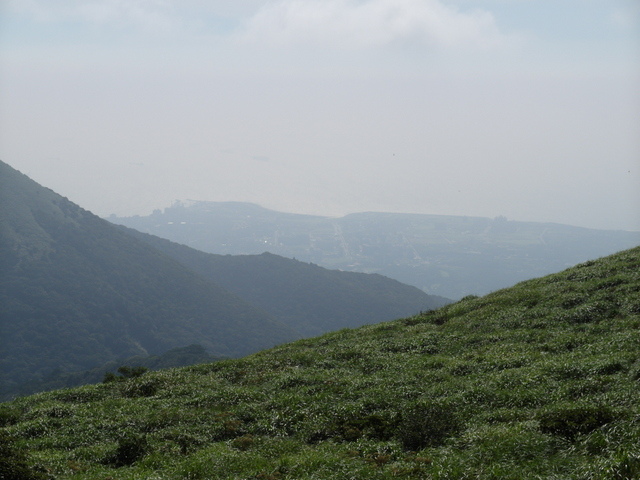 大屯山主峰、南峰、西峰登山步道 (56).JPG