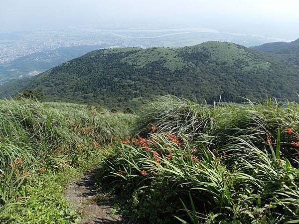 大屯山主峰、南峰、西峰登山步道 (70).JPG