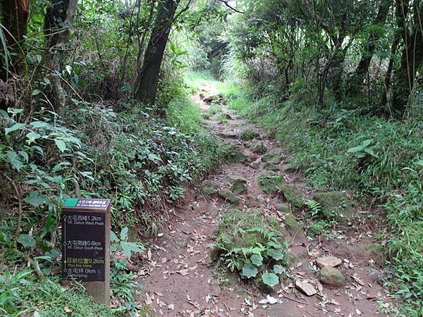 大屯山主峰、南峰、西峰登山步道 (88).JPG