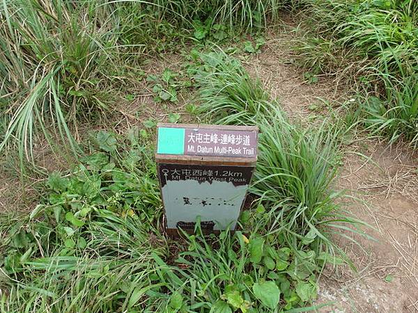 大屯山主峰、南峰、西峰登山步道 (107).JPG