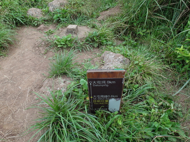 大屯山主峰、南峰、西峰登山步道 (106).JPG