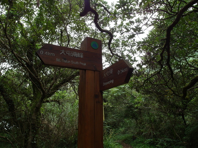 大屯山主峰、南峰、西峰登山步道 (135).JPG