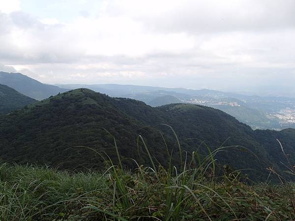 大屯山主峰、南峰、西峰登山步道 (146).JPG