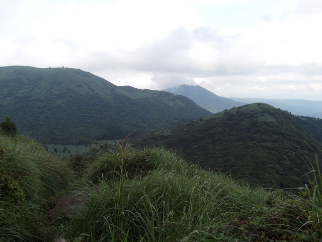 大屯山主峰、南峰、西峰登山步道 (148).JPG