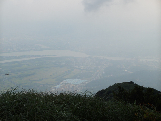 大屯山主峰、南峰、西峰登山步道 (154).JPG