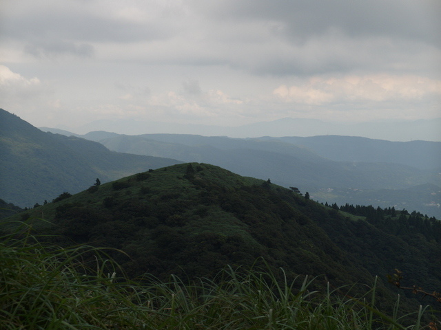 大屯山主峰、南峰、西峰登山步道 (157).JPG