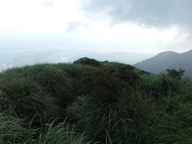 大屯山主峰、南峰、西峰登山步道 (159).JPG