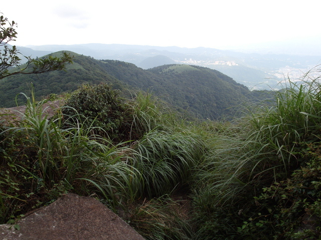 大屯山主峰、南峰、西峰登山步道 (164).JPG