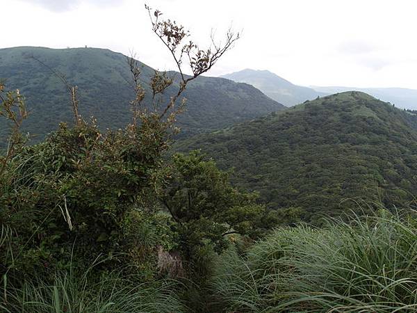 大屯山主峰、南峰、西峰登山步道 (166).JPG