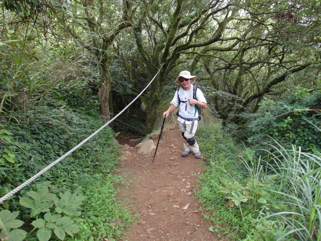 大屯山主峰、南峰、西峰登山步道 (171).JPG