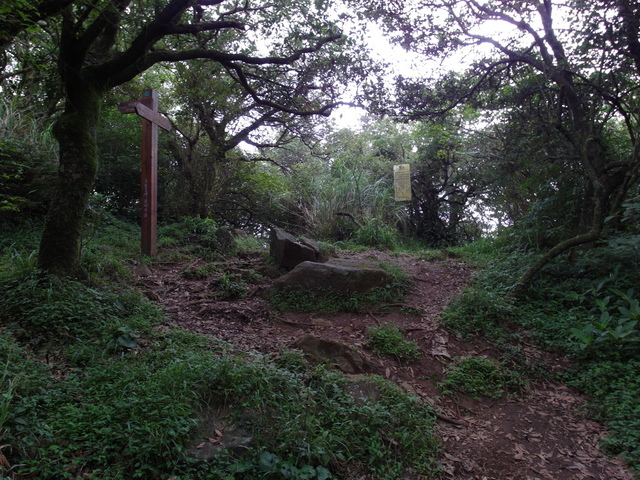 大屯山主峰、南峰、西峰登山步道 (176).JPG