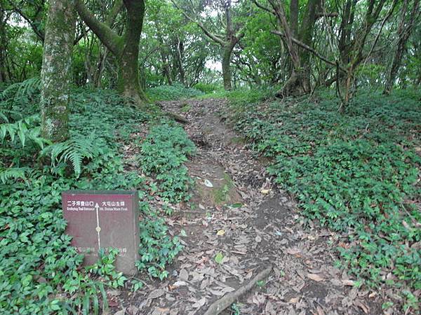 大屯山主峰、南峰、西峰登山步道 (179).JPG