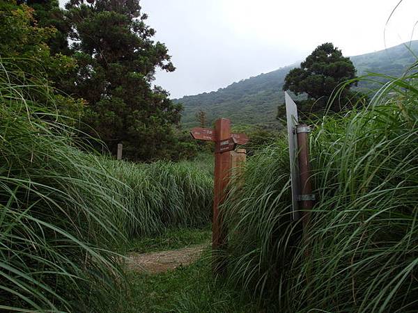 大屯山主峰、南峰、西峰登山步道 (182).JPG