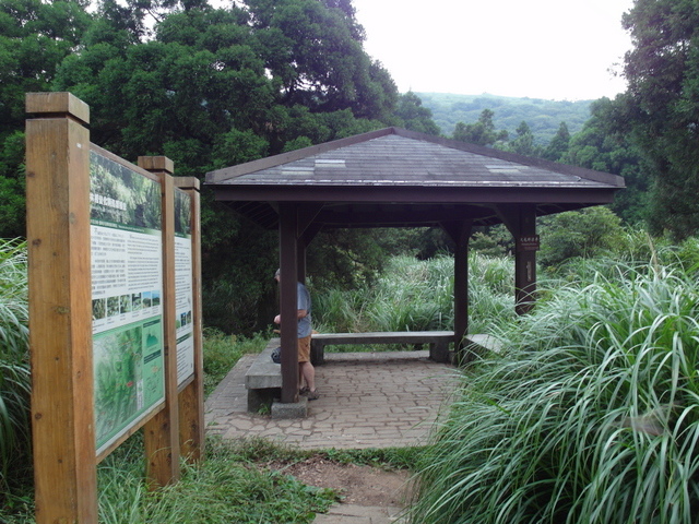 大屯山主峰、南峰、西峰登山步道 (192).JPG