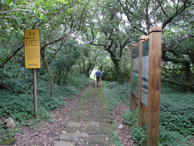 大屯山主峰、南峰、西峰登山步道 (199).JPG