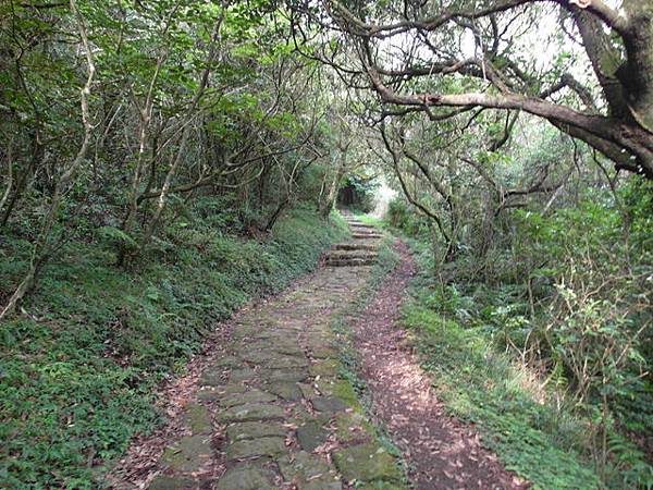 大屯山主峰、南峰、西峰登山步道 (202).JPG