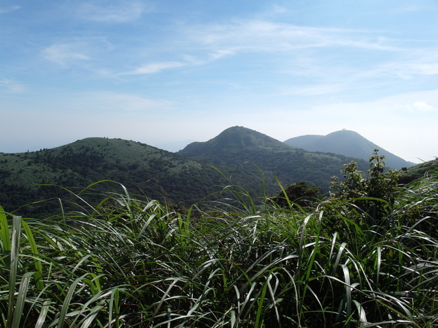 大屯山主峰、南峰、西峰登山步道 (208).JPG