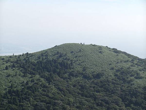 大屯山主峰、南峰、西峰登山步道 (212).JPG