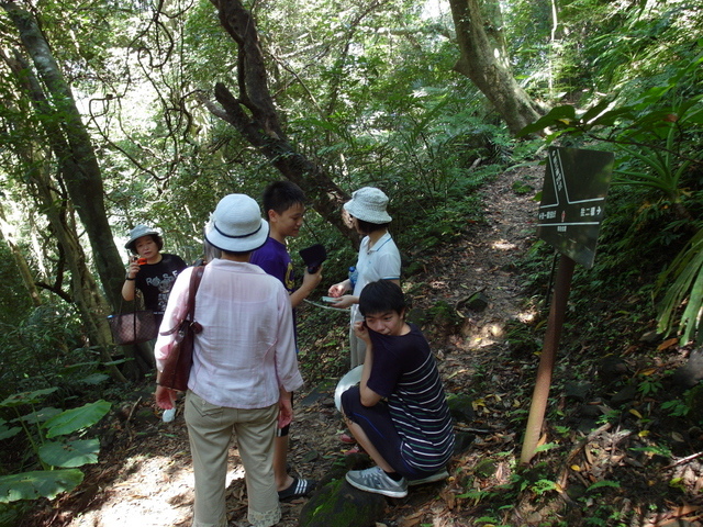 大板根森林度假區 (61).JPG