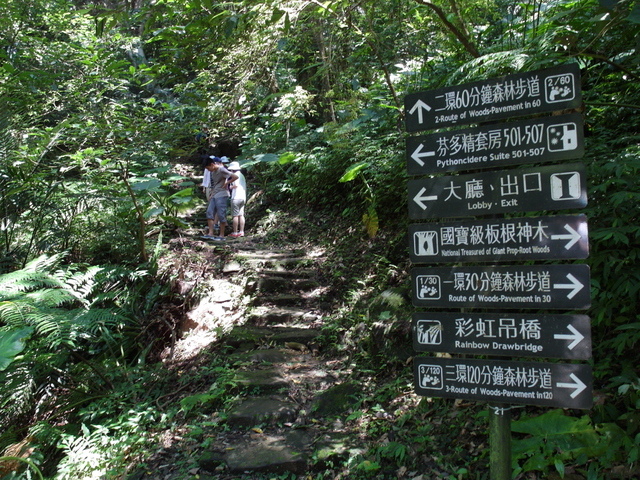 大板根森林度假區 (66).JPG