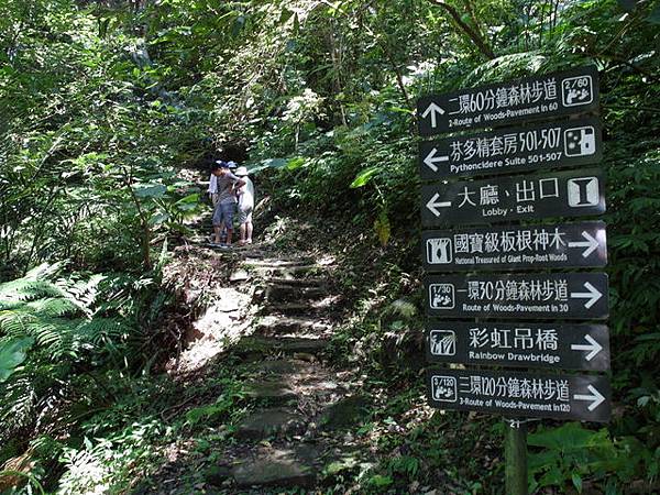 大板根森林度假區 (66).JPG