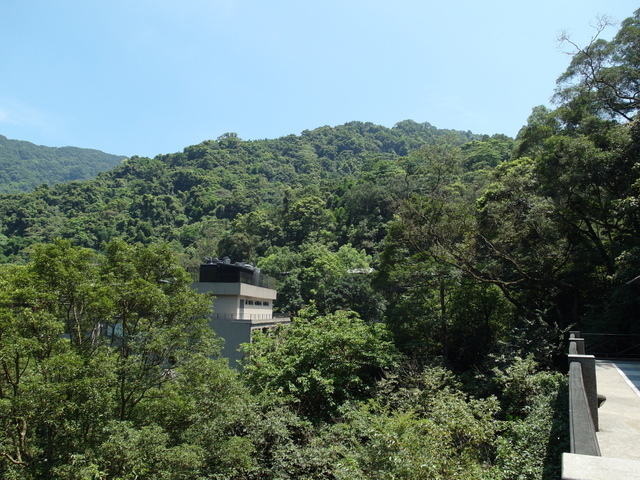 大板根森林度假區 (91).JPG