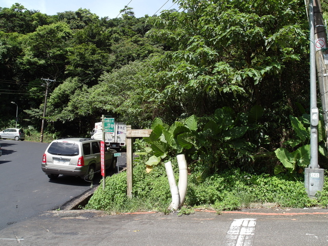 坪頂古圳步道、大崎頭步道 (12).JPG