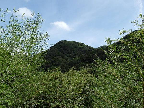 坪頂古圳步道、大崎頭步道 (53).JPG