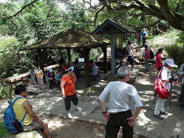 坪頂古圳步道、大崎頭步道 (92).JPG