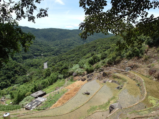 坪頂古圳步道、大崎頭步道 (113).JPG