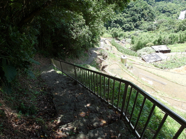 坪頂古圳步道、大崎頭步道 (116).JPG