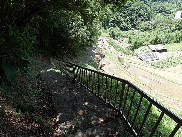 坪頂古圳步道、大崎頭步道 (116).JPG