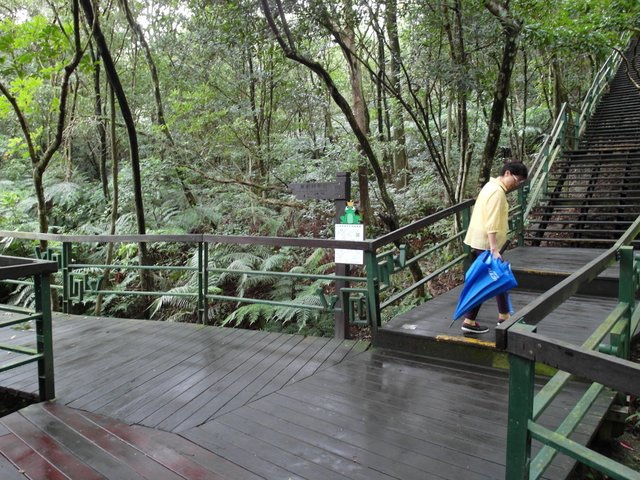 台北小溪頭環狀步道 (9).JPG