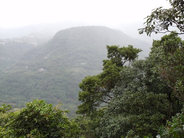 台北小溪頭環狀步道 (40).JPG