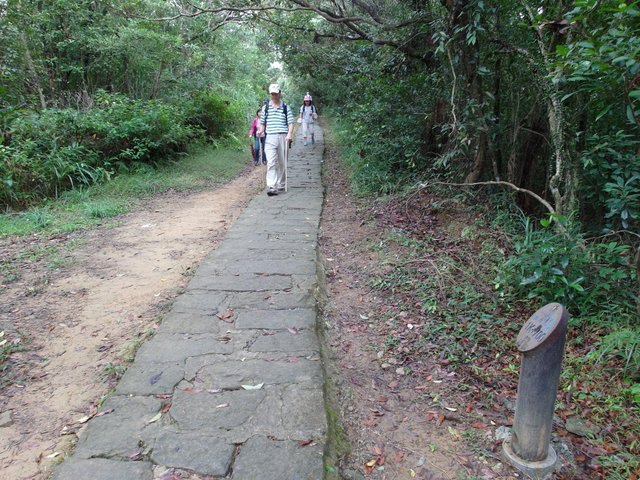 台北小溪頭環狀步道 (52).JPG