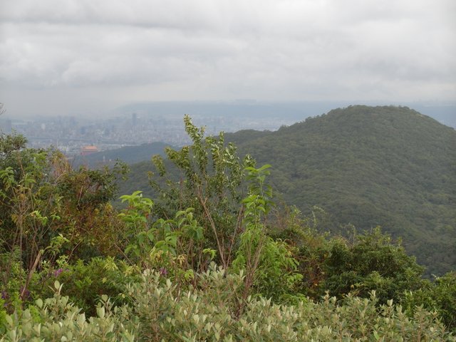 台北小溪頭環狀步道 (60).JPG