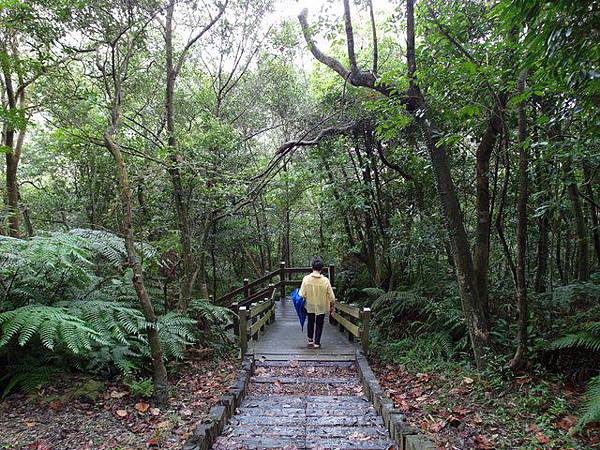 台北小溪頭環狀步道 (73).JPG