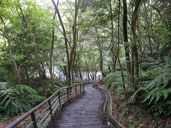 台北小溪頭環狀步道 (74).JPG