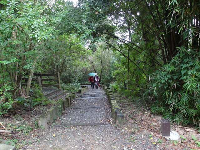 台北小溪頭環狀步道 (84).JPG