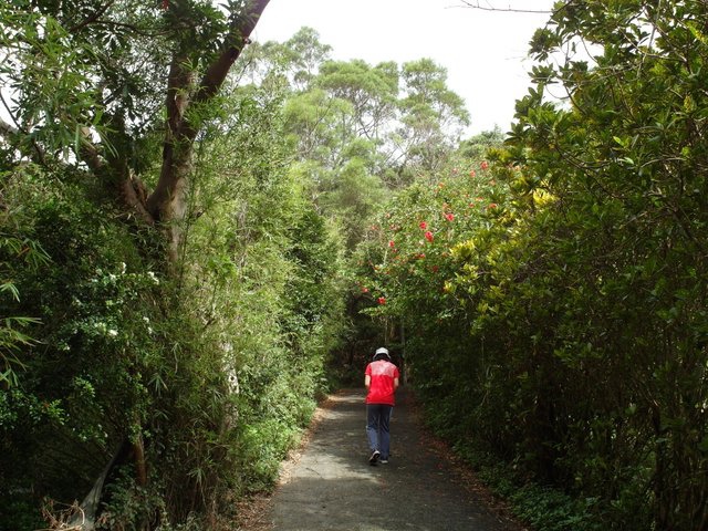 鷹嘴峰、尖山 (44).JPG