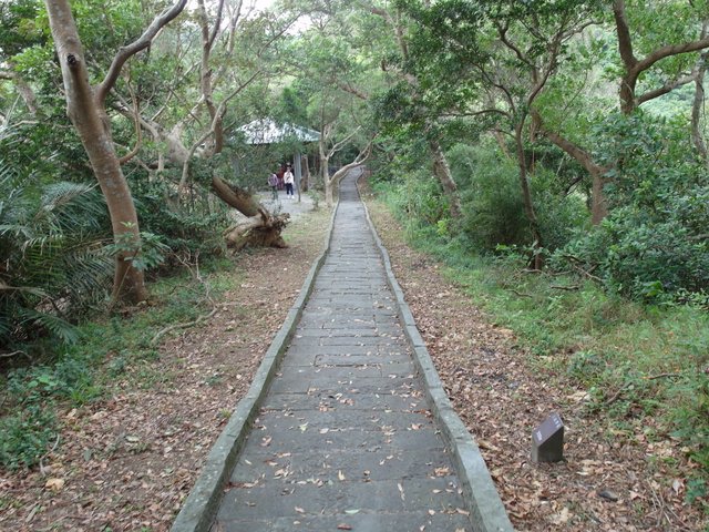 鷹嘴峰、尖山 (92).JPG