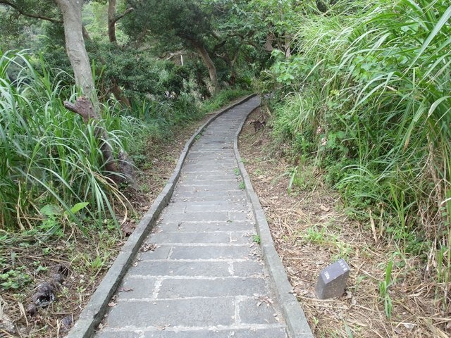 鷹嘴峰、尖山 (91).JPG