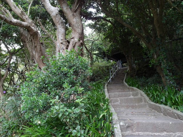 鷹嘴峰、尖山 (109).JPG